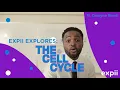 Expii Explores The Cell Cycle ft Dwayne Reed BIOLOGY RAP