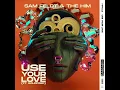 Sam Feldt & The Him - Use Your Love (feat Goldford)