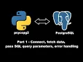 psycopg2 python Connect fetch data pass SQL query parameters error handling