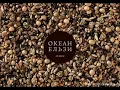 Океан Ельзи - Стріляй (2013)