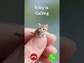 Download Lagu Kitty is Calling #cat #ringtone #funny #catlovers