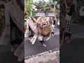 Download Lagu Hampir di cium Ama barong singa #barong #bali