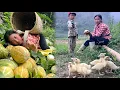 Download Lagu Lucky Day: Melons Sold Out Thanks to the Clever Elephant and Welcomed the First Duck Member
