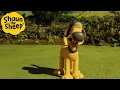 Lagu Good Puppy! 🐑 Shaun the Sheep 🐑  - Cartoons for Kids 🐑 Full Episodes Compilation [1 hour]