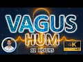 Calming Vagus Nerve Sleep Hum Deep Nervous System Relaxation Tones for Rapid Sleep 12 Hours