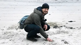 Beware of the JUNGLE CHICKENS  | Step 308