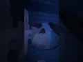 Download Lagu Anna Nishikinomiya   #anime #animememes #animeedits #anna #annanishikinomiya #shimoneta #