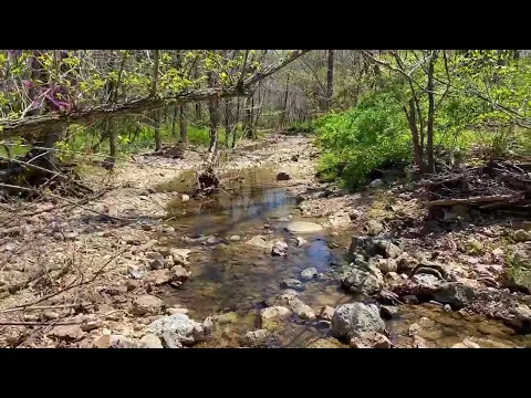 Ground Video - 40 Acres in Missouri with Owner Financing! Creek, live spring and MORE! JJ08