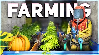 Farming Genetics Guide Rust Tutorial