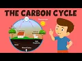 The Carbon Cycle Carbon Cycle Process for Kids