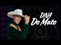 Zé Vaqueiro - Vaqueiro não nasceu pra viver na cidade (Música Nova)