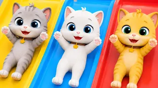 Billi ke Bache | Cat Cartoon | Cat Videos | Meow Meow | Cat | Kittens | Billi | Cat Meowing | Cats