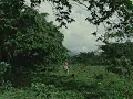 anaiis - Dreamer Too [Visualiser]