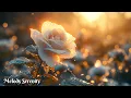 Download Lagu Самая красивая мелодия в мире🌺Самая красивая мелодия весны🌿Музыка Сергея Грищука #3
