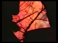 Lush - De-Luxe