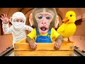 KIKI Monkey with His Duck Friend in CRAZY Maze Challenge + More Funny Challenges | KUDO ANIMAL KIKI