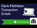 Transaction Scripts in FileMaker 19 6 Explained