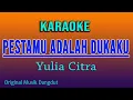 Download Lagu PESTAMU ADALAH DUKAKU KARAOKE@VINOKORG