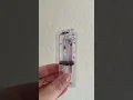 These Ant Baits Are PERFECT For Your Bug Problems