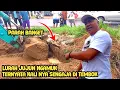 Lurah Jujun Ngamuk || Kali nya Sengaja Di Tutup Tembok || Normalisasi Kali wadas