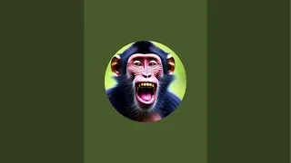 Divyansh Aur Langur Ki Yaari is live