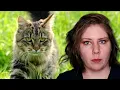 FIV - Myths Facts More Vet s Voice