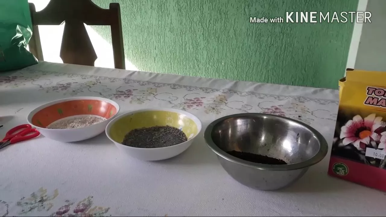 RECEITA DE ADUBO ORGÂNICO PARA ORQUÍDEAS E ROSAS DO DESERTO