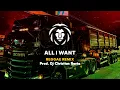 Download Lagu All I Want - Sarah Blasko - Versão Reggae | Dj Christian Rasta
