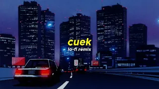 Download Rizky Febian  - Cuek (Lo-Fi remix) MP3