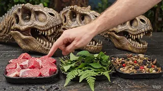 How Tooth Shapes Reveal Dinosaur Diets