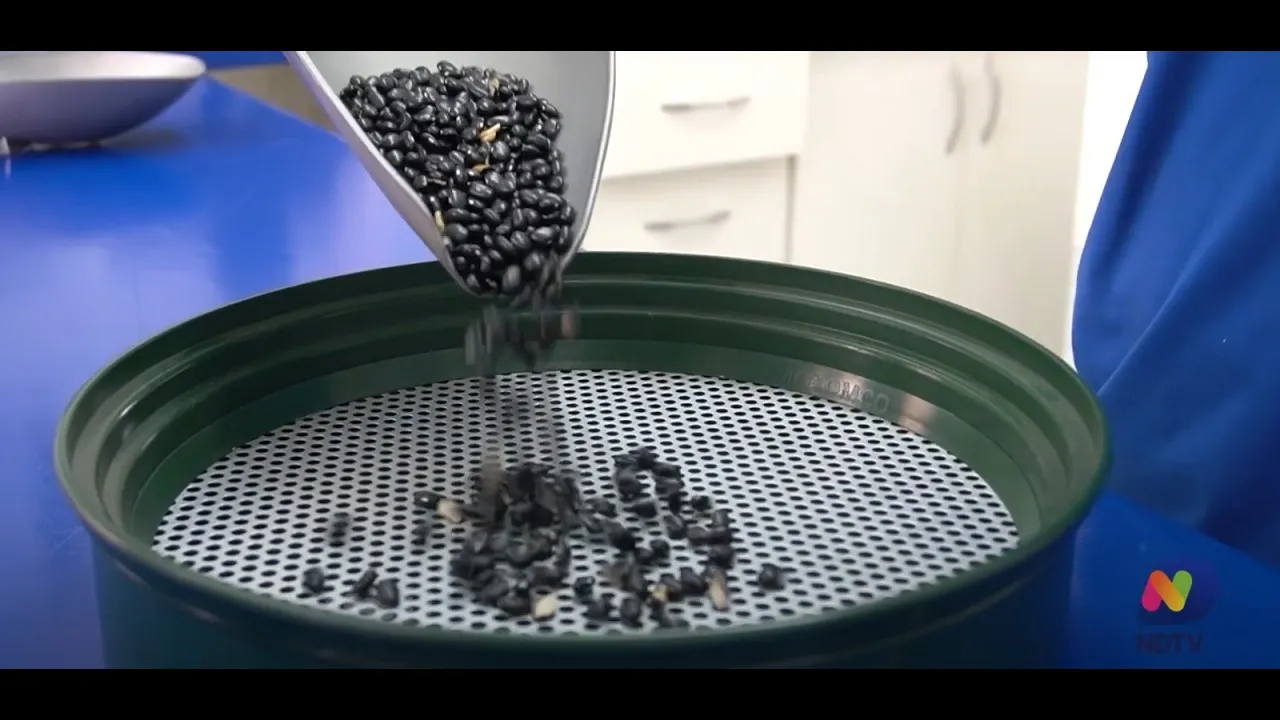 Agro Saúde e Cooperação fala sobre a produção de feijão no estado