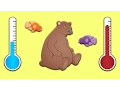Warm or Cold Blooded Animals Learn the Difference