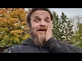 Download Lagu Een ongekend succes! || Permacultuur in Zweden VLOG 210