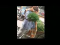Download Lagu Le lo pudina / vegetable seller
