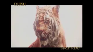 dj fish demolition 1