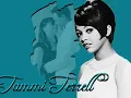 Marvin Gaye & Tammi Terell's Your Precious Love LYRICS