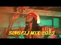 Lagu BONGO MIX 2025 | SINGELI MIX | AFRICAN VIBES 12 BY VDJ LEON SAVO [TRAILER]
