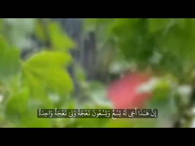 ⁣اصْبِرْ عَلَىٰ مَا يَقُولُونَ .. || الشيخ محمد صديق المنشاوي