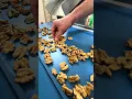 walnut cracking machine with highest results on the market