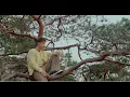 Download Lagu Peder Elias - trailer #1 ⏳🎹