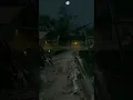 Download Lagu Menikmati suara jangkrik di malam yang sunyi.