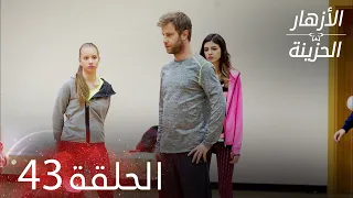 الأزهار الحزينة الحلقة 43 كاملة Kırgın Çiçekler 