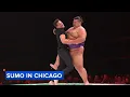 ABC7 Chicago s Ryan Chiaverini tries sumo wrestling as Sumo and Sushi event returns to Logan Square