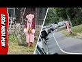 Creep In Pink Panther Costume Allegedly Hunts Down Kids In Virginia - Nearly Abducts Little Girl
