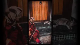 لو كنت نغمض عينيا 