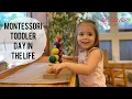 Inside Montessori Toddler Classroom