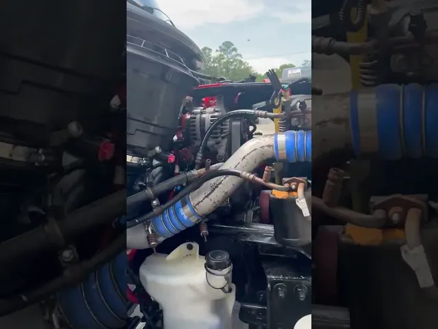 View Video