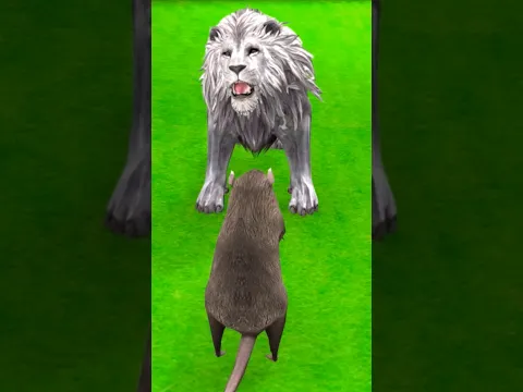 शेर और चूहे की दुश्मनी | Sher Ki Kahani | Animals Stories | Hindi Stories | Hindi Kahani | #shorts
