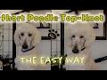 Short Poodle Top-Knot The Easy Way - How to Trim a Pet Poodle Top-Knot