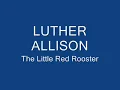 LUTHER ALLISON   The Little Red Rooster